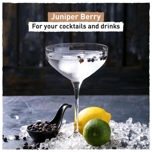 Eastanbul Juniper Berries Whole 3.5oz, Natural Juniper Berries for Gin Based Recipes, Brines, Thanksgiving, Jupiter Berries for Sauerkraut, Sauerb...